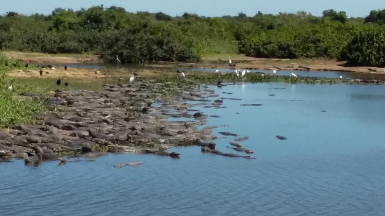 Hotel Pousada And Safari Cuiabá Eksteriør billede